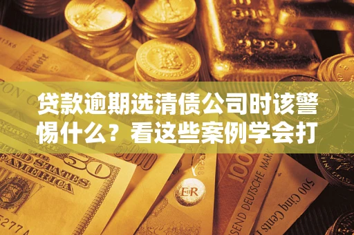 武汉贷款逾期选清债公司时该警惕什么？看这些案例学会打翻身仗