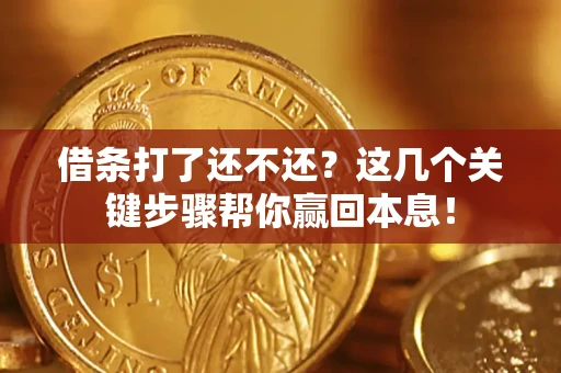 武汉借条打了还不还？这几个关键步骤帮你赢回本息！