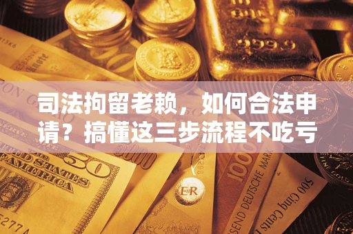 武汉司法拘留老赖，如何合法申请？搞懂这三步流程不吃亏！