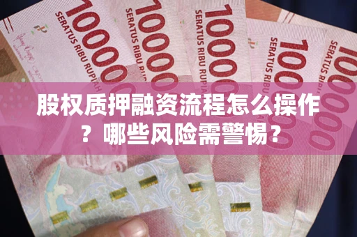 武汉股权质押融资流程怎么操作？哪些风险需警惕？