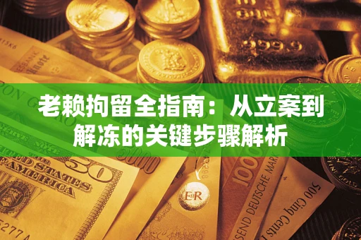 武汉老赖拘留全指南：从立案到解冻的关键步骤解析