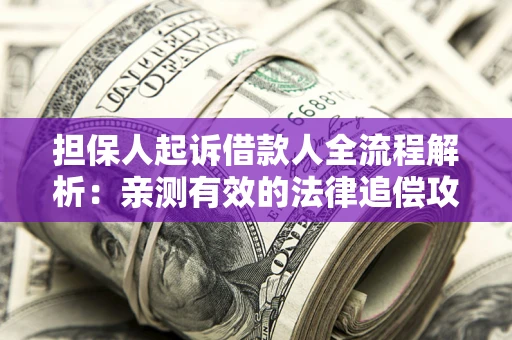 武汉担保人起诉借款人全流程解析：亲测有效的法律追偿攻略