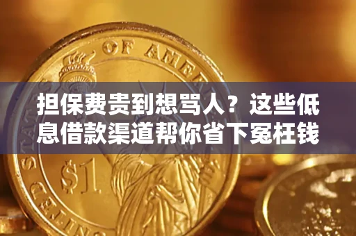 武汉担保费贵到想骂人？这些低息借款渠道帮你省下冤枉钱