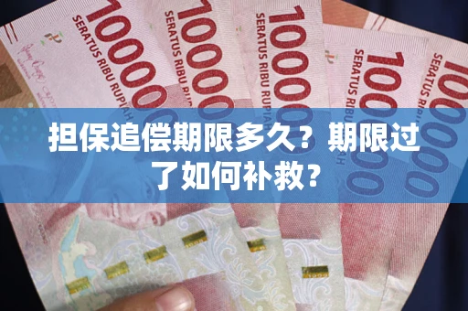 武汉担保追偿期限多久？期限过了如何补救？