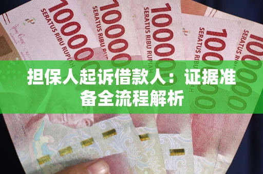武汉担保人起诉借款人：证据准备全流程解析