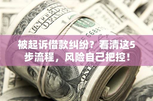 武汉被起诉借款纠纷？看清这5步流程，风险自己把控！