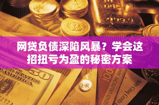 武汉网贷负债深陷风暴？学会这招扭亏为盈的秘密方案